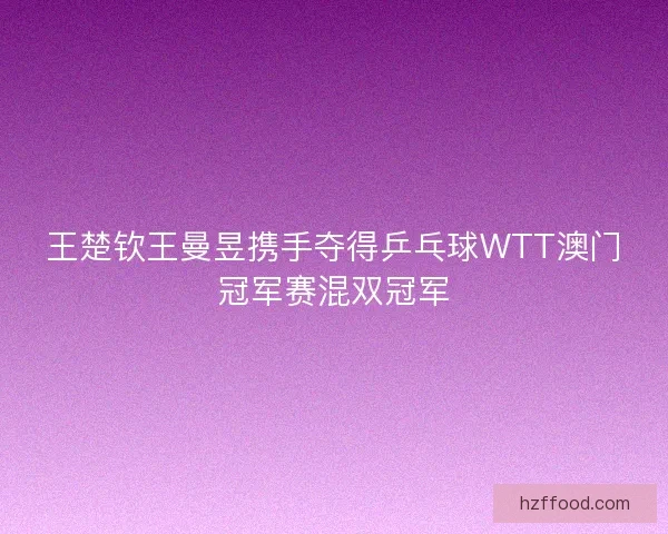 王楚钦王曼昱携手夺得乒乓球WTT澳门冠军赛混双冠军