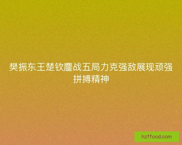 樊振东王楚钦鏖战五局力克强敌展现顽强拼搏精神
